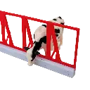 RWM50004-064_2.webp